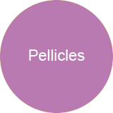 Pellicles