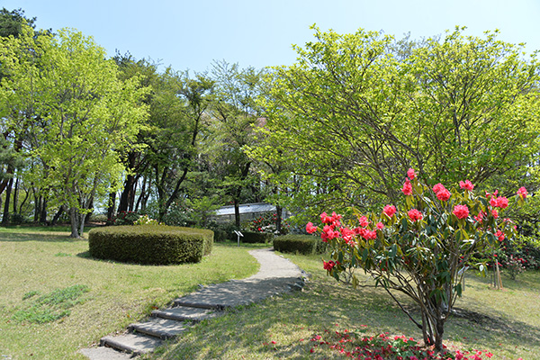 photo: Office building view