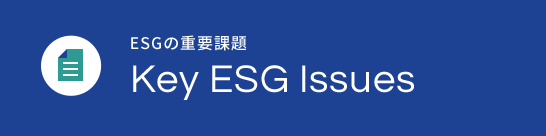 Key ESG Issues