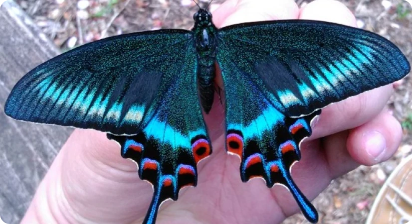 休日の過ごし方