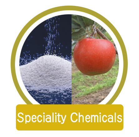 Speciality Chemicals