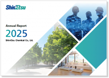 Fiscal 2025 which ended on March 31, 2025