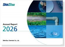 Fiscal 2025 which ended on March 31, 2026